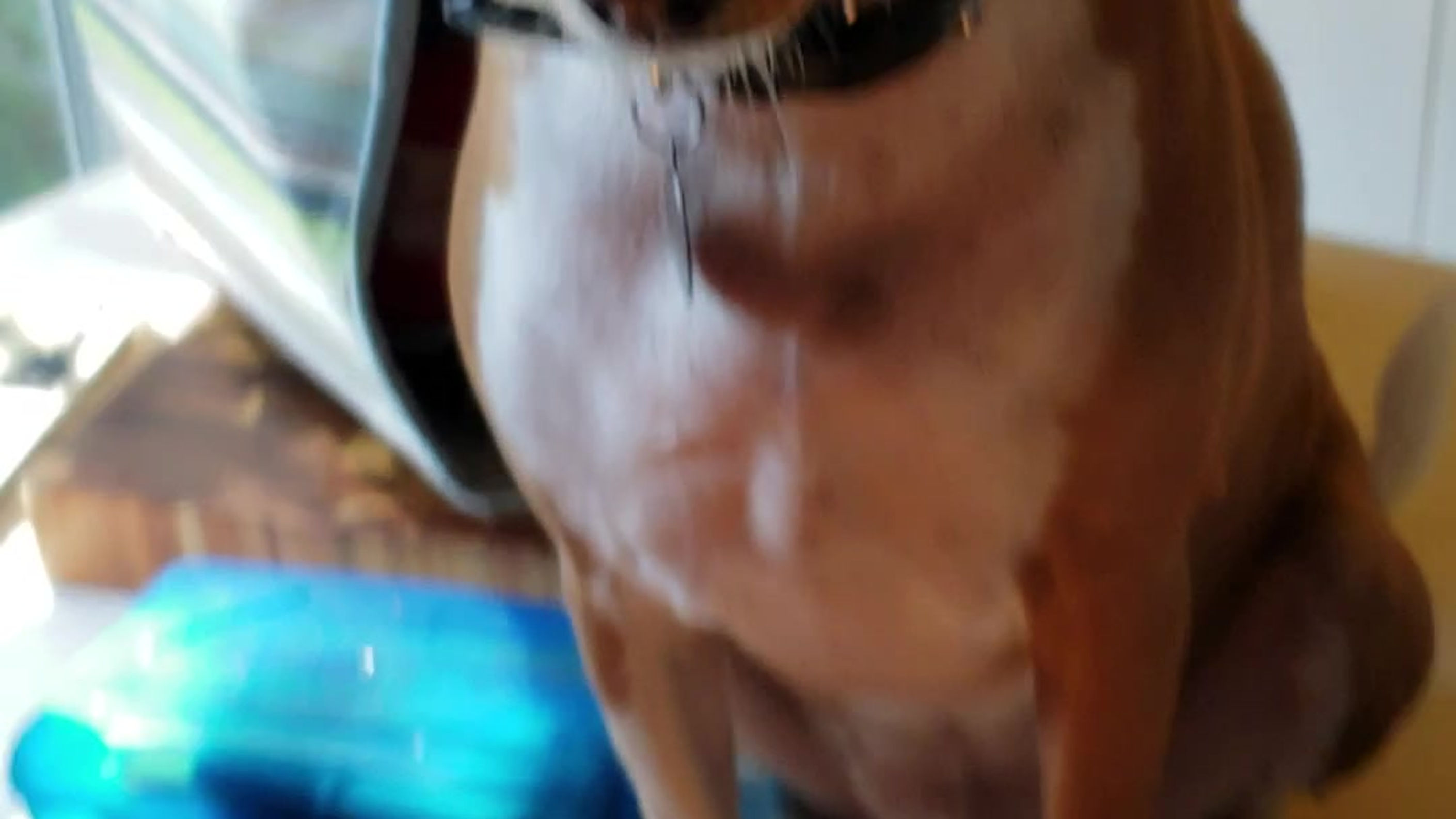 Beautiful Days in Your Neighbor's Hood